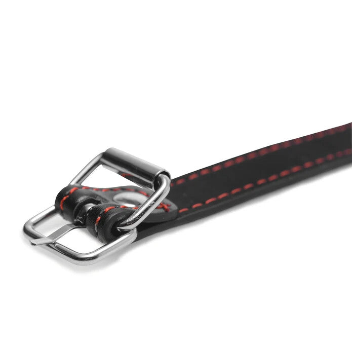 Master Series Hound Adjustable Dog Bone Gag