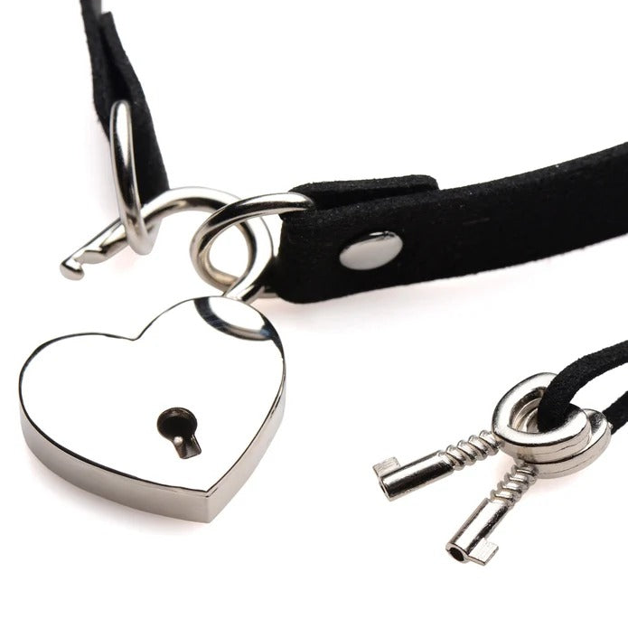 Master Series Lock-It Heart Lock and Key Choker
