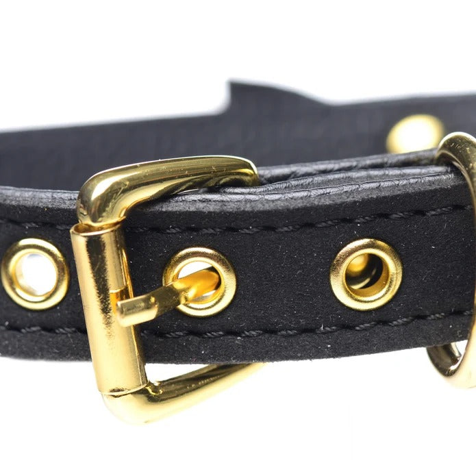 Master Series Golden Kitty Cat Bell Collar - Black/Gold
