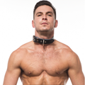 Titus Plain Leather Collar with D-Ring