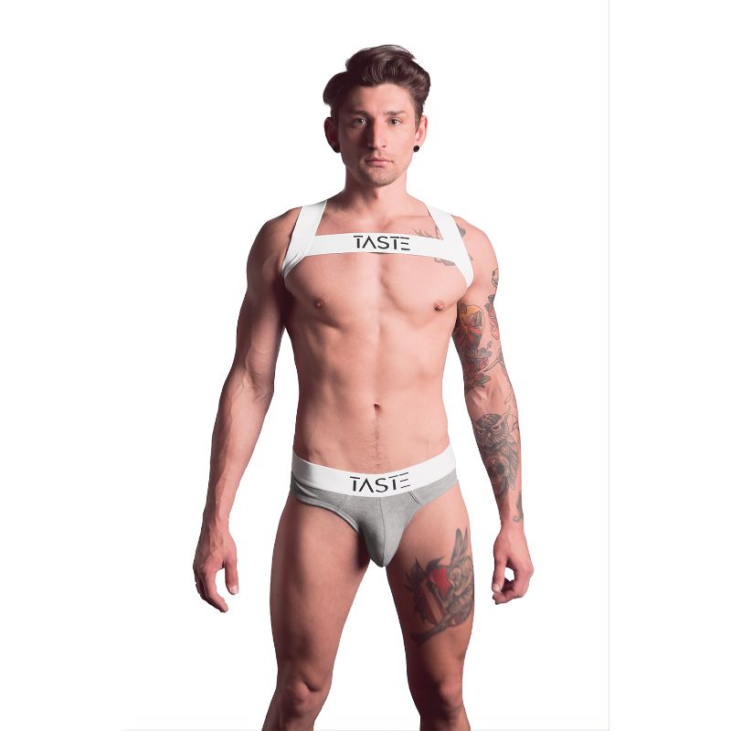 TASTE Signature Brief | Grey