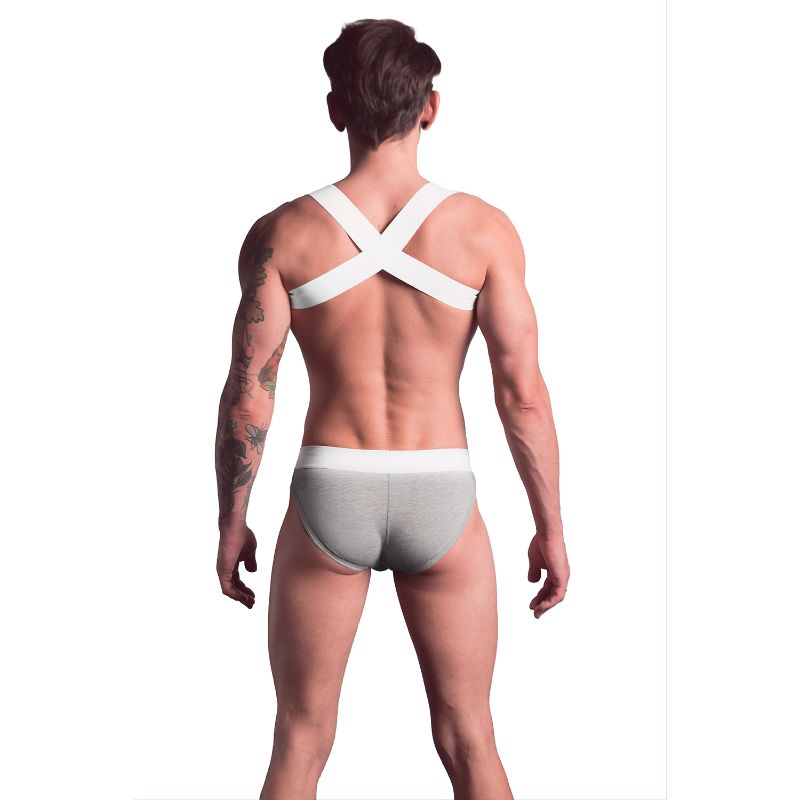 TASTE Signature Brief | Grey
