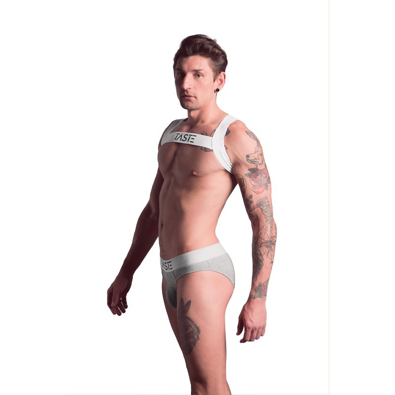 TASTE Signature Brief | Grey