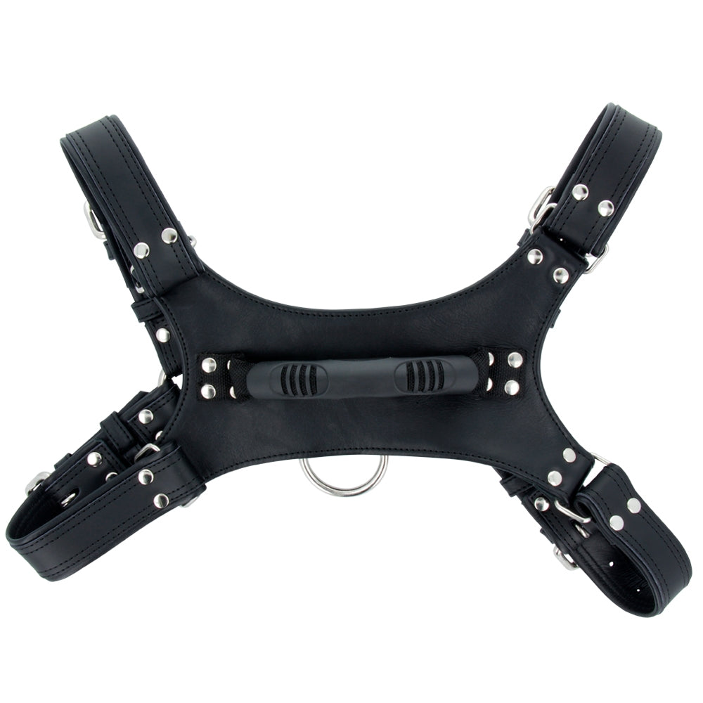 TITUS HANDLER HARNESS L