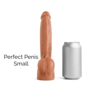 Mr Hankey's Perfect penis S