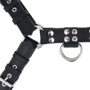 Titus Deluxe DOUBLE STITCHING H-Front Chest Harness | Leather