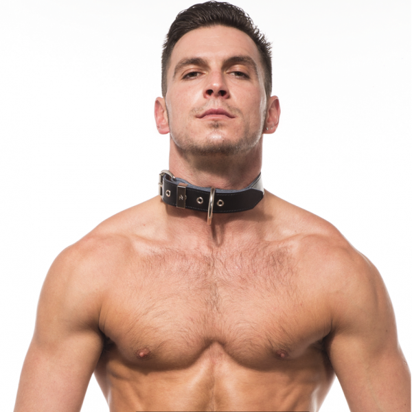 Titus Plain Leather Collar with D-Ring