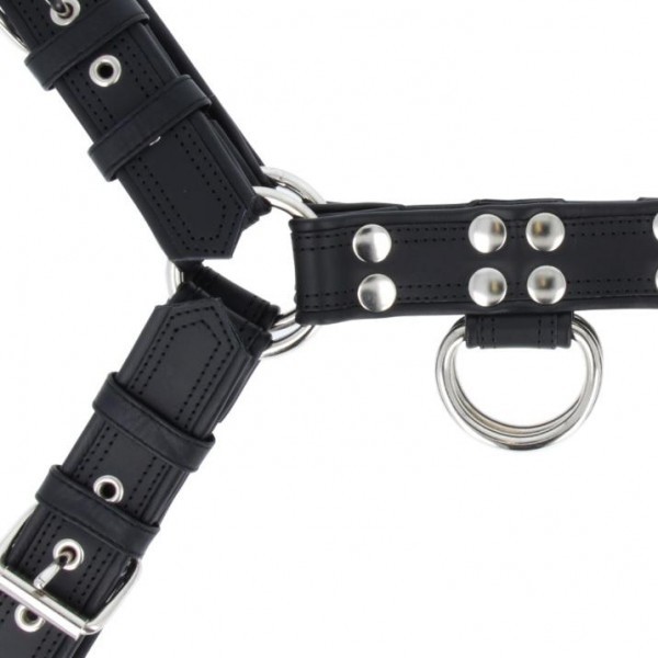 Titus Deluxe DOUBLE STITCHING H-Front Chest Harness | Leather
