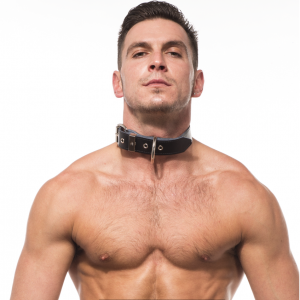Titus Plain Leather Collar with D-Ring